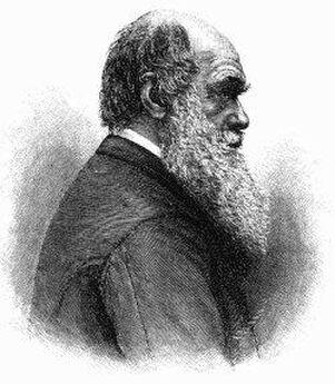 Чарльз Дарвин - Путешествие вокруг света на корабле «Бигль»