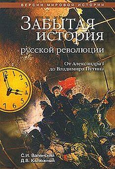 Борис Миронов - Страсти по революции: Нравы в российской историографии в век информации