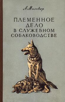 Александр Орлов - Служебное собаководство