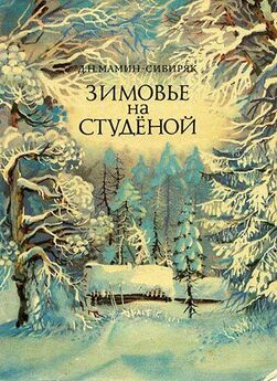 Дмитрий Мамин-Сибиряк - Зимовье на Студеной