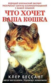 Юлия Сергиенко - Ваша кошка