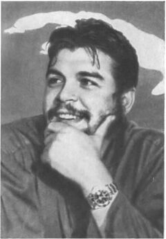 Эрнесто Гевара - Опыт революционной борьбы