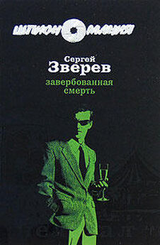 Сергей Зверев - Спецагент из ниоткуда