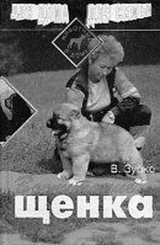 Мария Островская - Гороскоп для собак и кошек