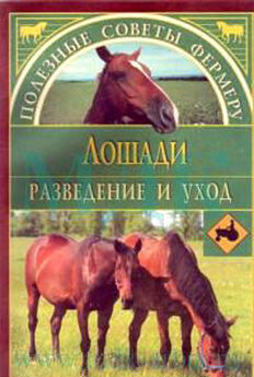 Екатерина Рыбас - Лошадь на даче