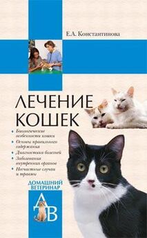 Екатерина Константинова - Домашние кошки