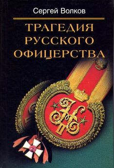 Сергей Шокарев - Тайны российской аристократии