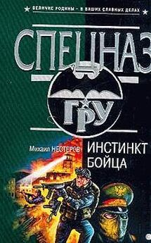 Михаил Нестеров - Инстинкт бойца