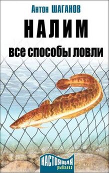 Николай Лопатин - Секреты успеха (Записки рыболова)