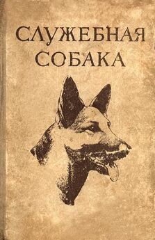 А. Масленникова - Собака — проводник слепого. Библиографический указатель