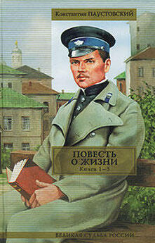Константин Паустовский - Бросок на юг