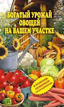 Сергей Самсонов - Золотая книга богатого урожая