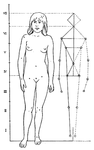 Рис 1 Размеры протоморфных рас Девушка из Карайа Размеры как это видно из - фото 1