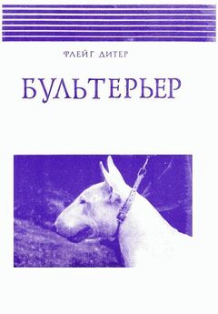 Елена Мычко - Про волков, собак и кошек