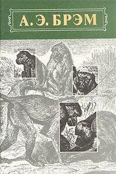 Альфред Брэм - Жизнь животных, Том I, Млекопитающие