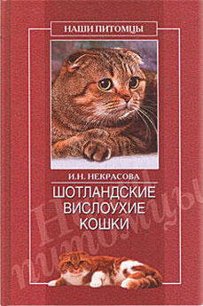 Анастасия Красичкова - Длинношерстные кошки