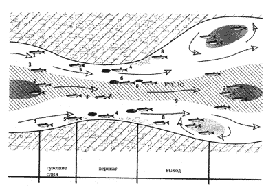 Рис 112 Схема переката и расположение рыбы Ловля на перекате универсальна - фото 120