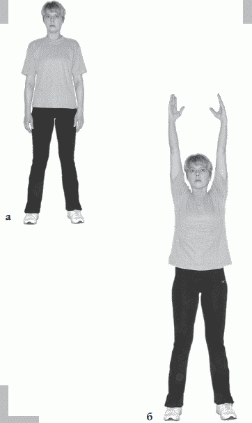 Упражнение направлено на разогревание мышц всего тела перед выполнением - фото 1