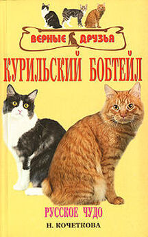 Светлана Бочкова - Редкие породы кошек