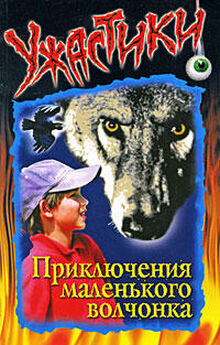 Ольга Дзюба - Приключения маленького волчонка