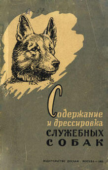 Петр Заводчиков - Справочная книга по собаководству
