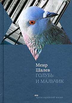 Евгений Козловский - Маленький белый голубь мира