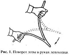 На рис 2 показаны два приёма удержания лозы обеими руками во время работы - фото 1