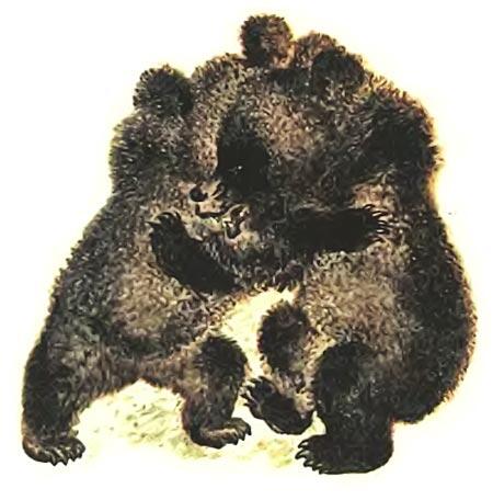 Медвежья горка - фото 1