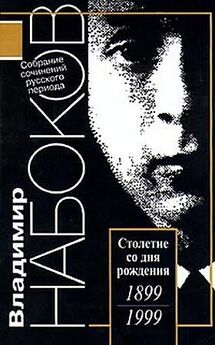 Владимир Набоков - Ада, или Радости страсти