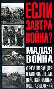 И. МОЧАЛИНА - Некоторые вопросы организации и тактики действий незаконных вооруженных формирований Чеченской Республики
