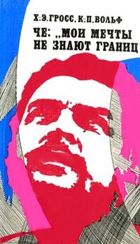 Джон Андерсон - Че Гевара. Важна только революция