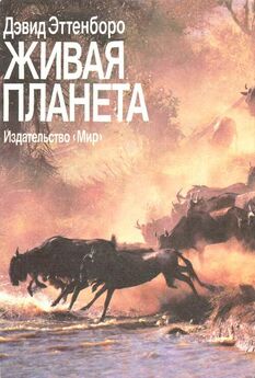 Николай Непомнящий - 100 великих рекордов живой природы