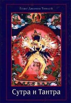 Дзонгсар Кхьенце - Не счастья ради. Руководство по так называемым предварительным практикам тибетского буддизма