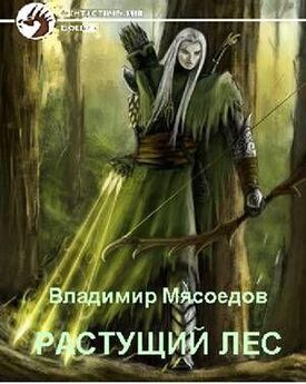Владимир Мясоедов - Искры истинной магии