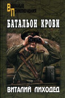 Вячеслав Миронов - Дикий батальон