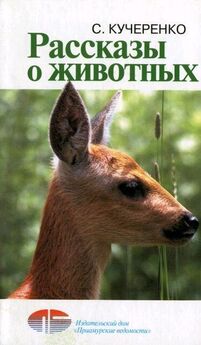 Николай Дроздов - В мире животных