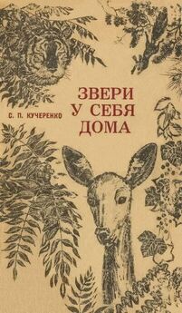 Сергей Кучеренко - Рассказы о животных