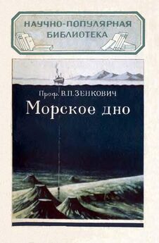 Николай Вершинский - Окно в подводный мир