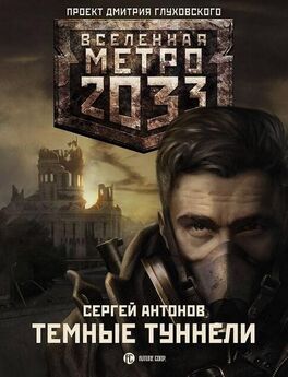 Валерий Пылаев - Метро 2033. Выборг