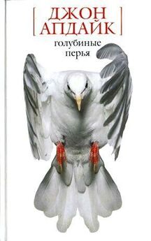Виталий Бернштейн - Долгий полет (сборник)