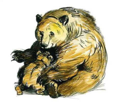 В лесной глуши живёт бурый медведь Его называют хозяином тайги потому что - фото 13