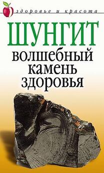 Геннадий Кибардин - Целебная сила Земли: глина, песок, шунгит, кремний, медь, магнитные поля