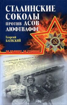 Георгий Баевский - «Сталинские соколы» против асов Люфтваффе