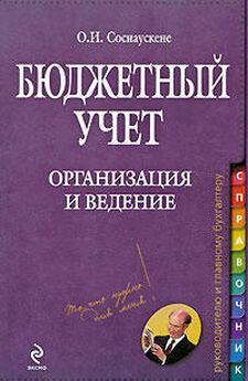 Ольга Соснаускене - Бюджетный учет. Организация и ведение