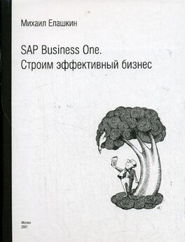 Михаил Елашкин - SAP Business One. Строим эффективный бизнес