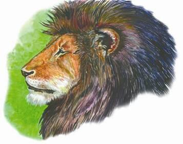 Берберский лев Как уже было сказано выше берберские львы отличались от других - фото 21