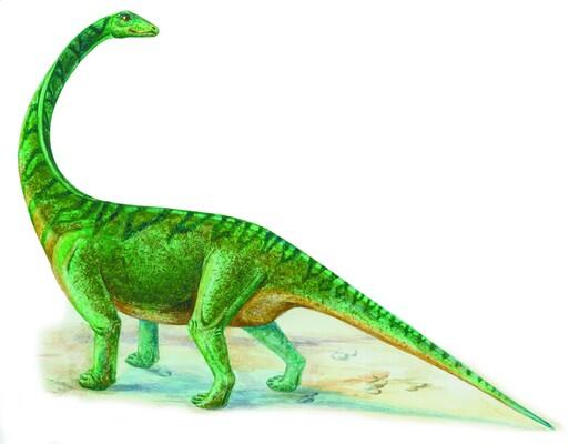 Гигантские анхизавры представляли большую группу древних животных относящихся - фото 6