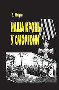 Владимир Войтинский - 1917-й - Год побед и поражений