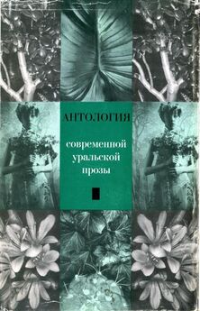 Владимир Соколовский - Антология современной уральской прозы