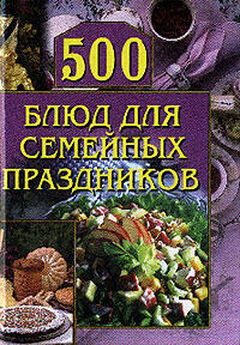 Анастасия Красичкова - 500 блюд на гриле